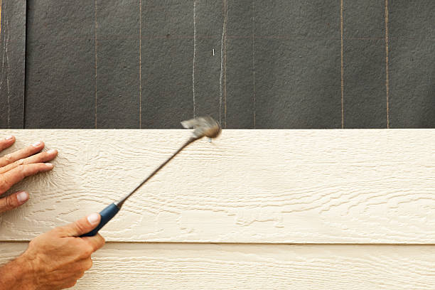 Best Brick Veneer Siding  in Snellville, GA